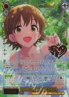 IMC/WE51-12M@P M@P リフレクション・スター 本田未央(箔押し入り)