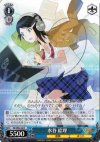  IM/SE04-28 R 水谷 絵理 
