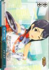  IM/SE04-36 CC プリコグ 