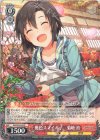 IAS/S93-049 R 桃色スマイル♪ 菊地真 