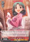 IMS/S93-063 U プリンセスロード 徳川まつり