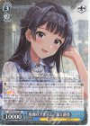 IMS/S93-087 RR 水滴のプリズム 最上静香