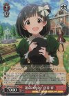 IMS/S93-077BNP BNP 運命の再会 中谷育