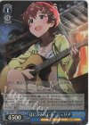 IMS/S93-116BNP BNP はにかみパレオ ジュリア