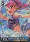 IMS/S93-091SP SP 常夏パラダイス! 舞浜歩(サイン入り)