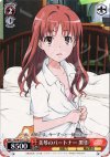 RG/W10-T11 TD 美琴のパートナー 黒子