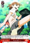 RG/W10-072 U ちぇいさーっ