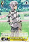 ID/W13-001 RR 裏社会に生きる少年 一方通行