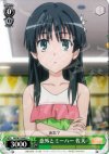 RG/W13-042 C 意外とミーハー 佐天