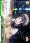 RG/W13-049 CC 衿衣との再会