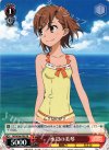 RG/W26-P05 PR 水辺の美琴