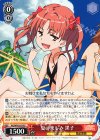  RG/WP03-03 PS 夏の楽しみ 黒子 