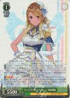  ISC/S81-044WIR WIR サンセットスカイパッセージ 和泉愛依 