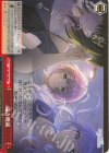  ISC/SE53-48 N 遠き明滅 
