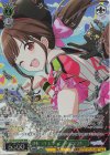 ISC/SE53-25WIR WIR 砂糖づけ・ビターエンド 園田智代子(箔押し入り) 