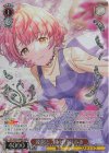  ISC/SE53-40WIR WIR 連綿と、桜 郁田はるき(箔押し入り) 