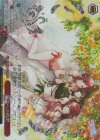  ISC/SE53-49WIR WIR 夏空への挑戦(箔押し入り) 