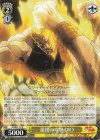 JJ/SE41-13 N 最後の攻撃 DIO