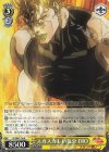 JJ/SE41-16 N スガスガしい気分 DIO
