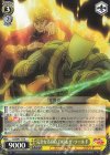 JJ/SE41-17 N 完全なる存在 DIO&ザ・ワールド