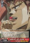 JJ/SE41-29 N 好物のチェリー 花京院
