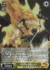 JJ/SE41-13J JJR 最後の攻撃 DIO(箔押し入り)