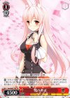 Smi/W62-T04 TD 黒ウサギ