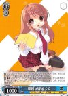 Ssy/W62-T13 TD 眼鏡っ娘 みくる