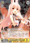  Smi/W62-010 R 視覚を惑わすミニスカート 黒ウサギ 