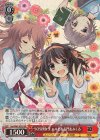 Ssy/W62-052S SR SOS団女子 ハルヒ&長門&みくる