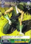 KG/SE07-20 C 長寿の海亀