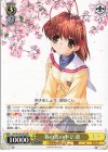  Kcl/W102-002 RR 春の光の中で 渚 