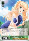  Ksm/W102-036 R 太陽に誘われて 紬 