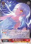  Kab/W102-053 RR 輝く夜空 かなで 