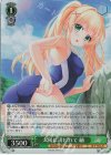  Ksm/W102-036S SR 太陽に誘われて 紬 
