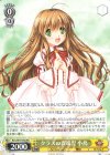  Krw/W78-002 RR クラスの異端児 小鳥 