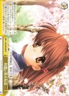  Kcl/W78-039 CR 桜舞い散る坂道 