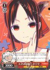  KGL/S95-P02 PR 天才の頭脳? かぐや 