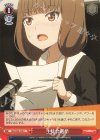  KGL/S95-070 U 生徒会選挙 