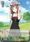  KGL/S95-P05 PR 特別な日に ミコ 