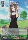  KGL/S95-P05S PR 特別な日に ミコ(ホロ) 