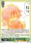  KMD/W96-042 C 種族を超えて 小林さん 