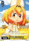  KMW/W51-T03 TD 気配を探って サーバル 