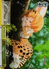  KMW/W51-T10S SR 出会いの日に 