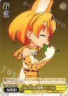  KMN/W51-P02 PR はじめての料理 サーバル 
