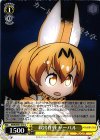 KMN/W51-015 U 救出作戦 サーバル