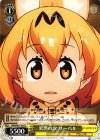  KMN/W51-024 C 突然の涙 サーバル 
