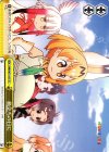  KMN/W51-037 CC 旅立ちの日に 