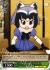  KMN/W51-048 C ノンビリしてられない アライグマ 