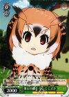  KMN/W51-049 C 博士の助手 ワシミミズク 